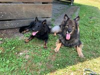 Gitan und Shani